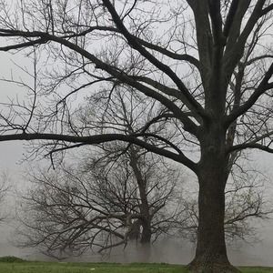 Meet your Posher, Meredith